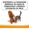 Derma Procare Drops - Dietary supplement for dogs and cats 23g