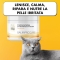 Balmprocare - Soothing and Regenerating Skin Cream for Dermatosis and Irritation 50 ml