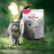 Meatcrisp Chicken - Complete dry food for sterilized adult cats 1.5 kg