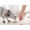 Sterilized & Light Ham - Complete food for sterilized adult cats, 10 kg