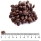 Grainfree Pork and Potato Dog Food - Complete food for sensitive small breed adult dogs 2 kg