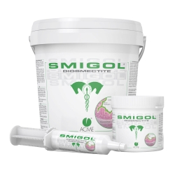 Smigol - Oral Paste Syringe with Diosmectite for Intestinal Support 100g