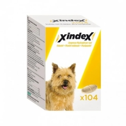 Xindex - Broad-spectrum anthelmintic for the treatment of mixed infestations 104 Tablets