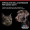 Specific Kidney Support Fish - Dietary food for cats with renal insufficiency 2 kg