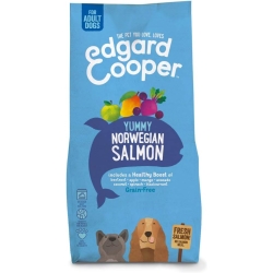 Norwegian Salmon Adult Dog Food - 700g