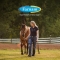 Roll-on Fly Repellent - Insect Repellent Targeted Protection for Horses Delicate Areas of the Head 59 ml
