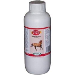 Live Oil - Complementary feed for horses 1 lt