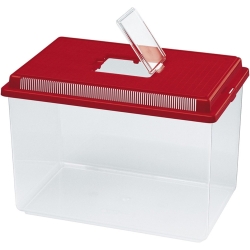 Geo Flat Small - Multifunctional plastic aquarium terrarium with removable lid 35.5 x 23.5 x 16.5 cm 4 Lt