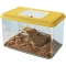 Geo Flat Small - Multifunctional plastic aquarium terrarium with removable lid 35.5 x 23.5 x 16.5 cm 4 Lt
