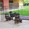 Educational Playpen - Foldable Transformable into a Barrier for Puppies, Black, 80 x 80 x h 62 cm