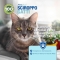 Aloeplus Syrup - Complementary feed for cats of all ages 100 ml