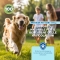 Aloeplus Artricur pet +11kg - Complementary feed for dogs and cats with osteoarthritis 60 Capsules