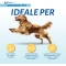 Aloeplus Artricur pet +11kg - Complementary feed for dogs and cats with osteoarthritis 60 Capsules