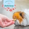 Natural Science Vitamin C - Supplement for Guinea Pigs, Rabbits, and Chinchillas 120g