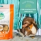 Natural Science Vitamin C - Supplement for Guinea Pigs, Rabbits, and Chinchillas 120g