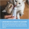 Gimcat Kitten Paste 6m+ - Complementary paste for kittens 50g