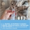 Gimcat Kitten Paste 6m+ - Complementary paste for kittens 50g