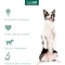 Condrostress Mobility - Complementary food for adult and senior dogs with reduced mobility.