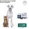 Redonyl Veggy Chews - Complementary food for dogs and cats for skin and coat