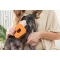 Spongina Pet - Rubber Sponge for Catching Pet Hair, Dust, and Hair for Home and Pet Fur
