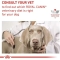 Hepatic - Complete food for dogs with liver failure 7 kg