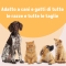 Surio - Complementary feed for dogs and cats for the urinary tract 100 ml