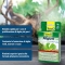 Algizit - 10 Anti-Algae Tablets for Aquariums