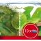 Algizit - 10 Anti-Algae Tablets for Aquariums