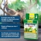 Algo Stop Depot - 12 Long-Acting Anti-Algae Tablets for Aquariums
