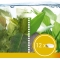 Algo Stop Depot - 12 Long-Acting Anti-Algae Tablets for Aquariums