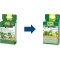 Algetten - 12 Slow-Release Anti-Algae Tablets for Aquariums