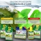 Algetten - 12 Slow-Release Anti-Algae Tablets for Aquariums