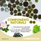 Condro Phyto 300 - Complementary feed for joint function in dogs and cats 300 g