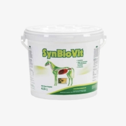 Synbiovit - Complementary feed for horses and foals for digestion 900 g