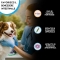 ZomaVet fish oil 93 Salmon - Complementary feed for immunity and inflammation 10 vials of 10 ml