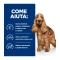 Prescription Diet z/d Food Sensitivities - Complete food for dogs with food intolerances 370 g