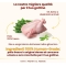 HFC Our Best Kitten Chicken - Complete food for kittens 300 gr