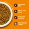 Chicken and Vegetables - Complete dry food for adult cats 2 kg