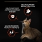 Purina Pro Plan Adult 1+ Vital Functions Salmon - Complete food for adult cats 10 kg