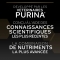 Purina Pro Plan Kitten Optistart Chicken - Complete dry food for kittens and mothers 10 kg