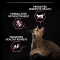 Purina Pro Plan Delicate Turkey - Complete food for adult cats with sensitive digestion 400g