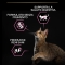 Purina Pro Plan Delicate Turkey - Complete food for adult cats with sensitive digestion 10 kg