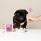 Adult Grain-Free Game and Duck - Wet food for adult dogs 150g