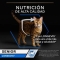 Purina Proplan Senior Cat 7+ Longevis Tuna Mousse - Complete food for Senior cats 7+ 85g