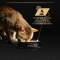 Purina Proplan Senior Cat 7+ Longevis Tuna Mousse - Complete food for Senior cats 7+ 85g