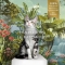 Salmon and Chicken - Complementary food for adult cats 80g