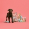 Puppy Recipe Chicken, Salmon and Peas - Complete Food for Dogs 7 kg