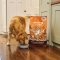 Adult Countryside Casserole with Chicken, Duck, and Sweet Potatoes - Complete dog food 7 kg