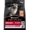 Purina Proplan Medium Puppy Sensitive Skin with Salmon - Complete food for dogs 3 kg
