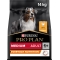 Purina Pro Plan Everyday Nutrition Medium Adult Chicken - Complete food for medium-sized adult dogs 14 kg